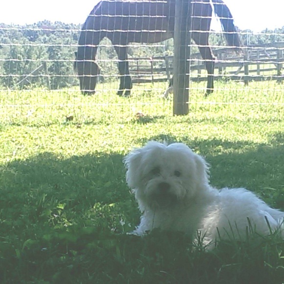 Meet your Posher, Donna - Picture 2 of 3